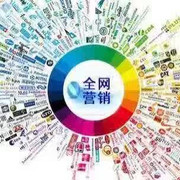 智财富企业网络营销 定制可落地、可执行、可盈利的网络营销方案