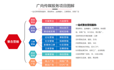 品牌推广营销与企业营销策划 理论与实践指南