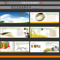 大米食品公司广告画册设计指南 从素材到实践